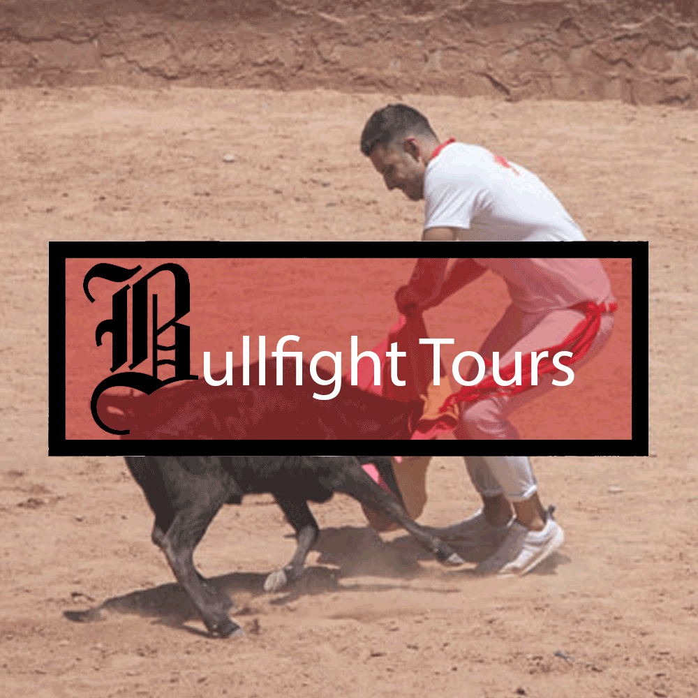 Bullfight Tours