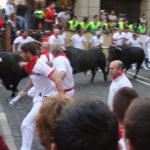 bulls and runners in pamplona