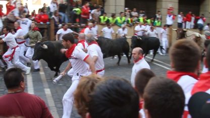 bulls and runners in pamplona