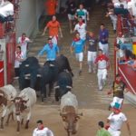 Bulls and runners in plaza de toros