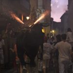 fireworks and bull families