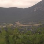 Otazu Vineyards