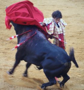 José Tomás with a bull rearing through a manoletina in Cordoba in 2009