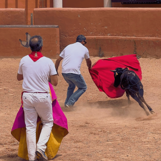 running of the bulls pamplona bullfighter training