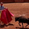 Torero Training & Bull Ranch Tour