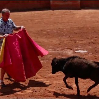 Torero Training & Bull Ranch Tour