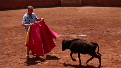 Torero Training & Bull Ranch Tour