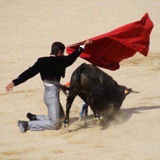 matador pamplona spain