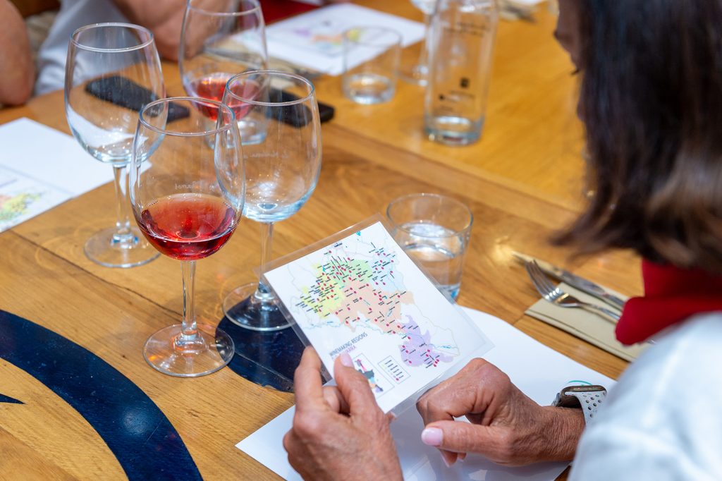 map of navarre region wine tasting