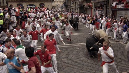 Bull Run Route Tour with an Expert Bull Runner