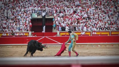 Guided Bullfight Viewing + Box Seats