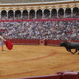 Bullfight Tickets: Contrabarrera Seats