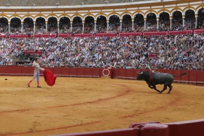 Bullfight Tickets: Contrabarrera Seats