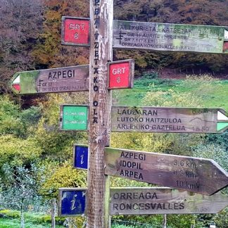 Day Tour - Hemingway's Mountain Escape