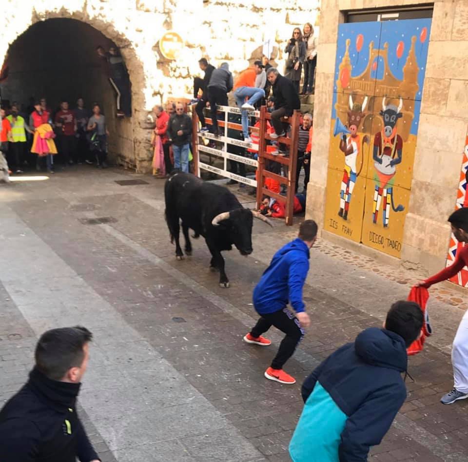 Ander running with the bulls