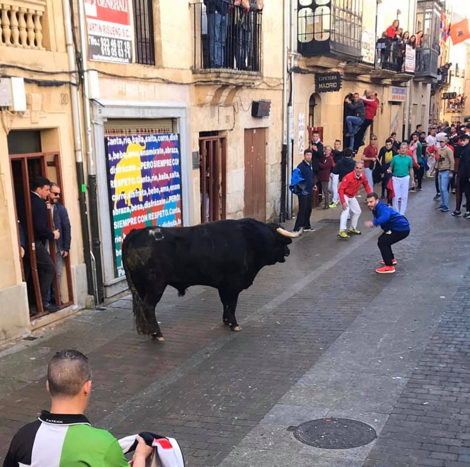 Ander running with the bulls