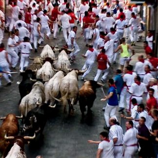 San Fermin Running of the Bulls