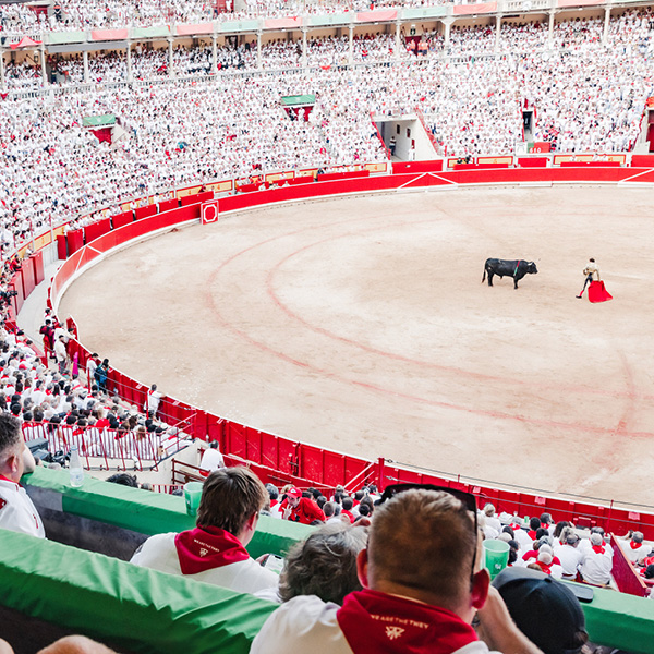 plaza de toros pamplona bullfights